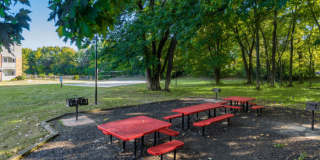 TGM Meadow View Gallery 48