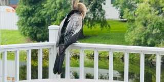 3012 GRAND VIEW AVENUE Gallery 42