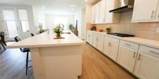 4123 Lemonsage Street Gallery 6