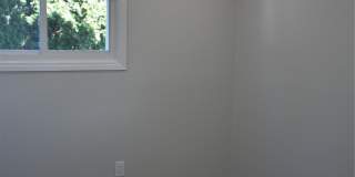 55 Acre Lane Gallery 9