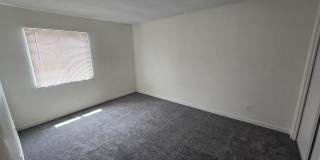 1447 N 53RD Drive Gallery 26