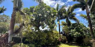 Spacious Home Close to Beaches, Shopping and More in South Maui! Gallery 19
