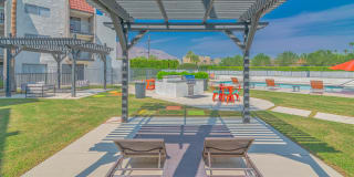 THE MODERN CACTUS Gallery 10