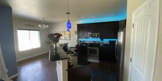 7413 Pimlico Dr Gallery 20