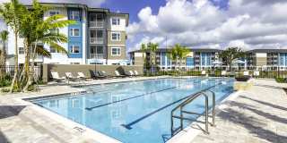 The Dahlia Gallery 1