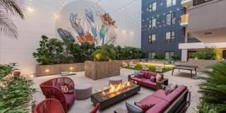 Ardence & Bloom Ardence & Bloom Gallery 19