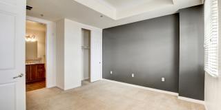 Boca Raton Gallery 57