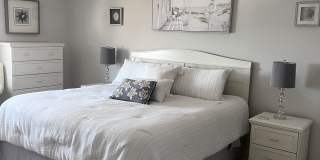 255 Dolphin Point Gallery 54