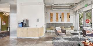 Student Housing - Solhaus Apartments & Tower Gallery 37