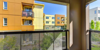 Madison Bellevue Gallery 15