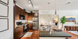 Andante at Nine Mile Station Gallery 12