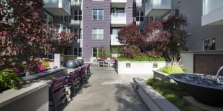 The Brand Gallery 41