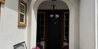 27383 Pumpkin Gallery 23