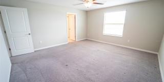 9831 LEMON DROP Loop Gallery 24
