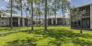 Enclave at Lake Ellenor Gallery 45