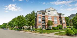 Sofi Lyndhurst Gallery 37