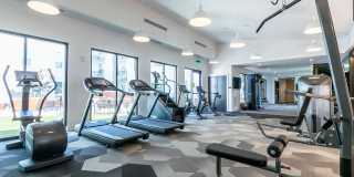 Tailor O4W Gallery 39