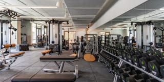 The Village Drey Gallery 63