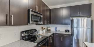 Edge at 1702 Gallery 29