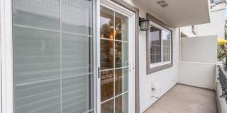 19381 Maidstone Gallery 15