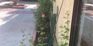 5246 Calderon Road Gallery 49