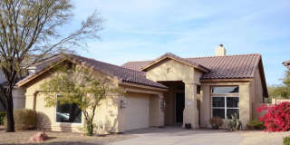 4338 E Desert Marigold Drive Gallery 1