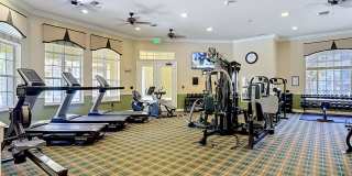 Beautiful 2BR Condo in Desirable Courtney Palms Gallery 18