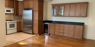 41 Linnaean Street Gallery 5