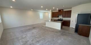 7008 Dandelion Park Avenue Gallery 25