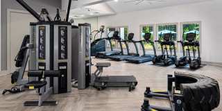 The Falls and Woods of Hoover Gallery 17