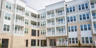 The Ivy at Ariston Gallery 1