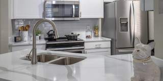 Enders Place at Baldwin Park Gallery 11