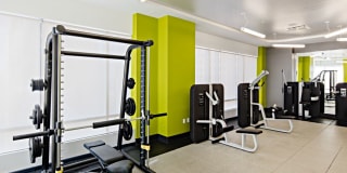 AVA DoBro Gallery 25