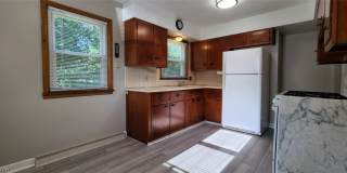 517 Evans Avenue Gallery 3