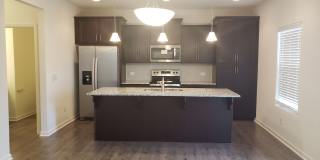 Gorgeous 4 Bed, 2.5 Bath with 2 Car Garage Gallery 1