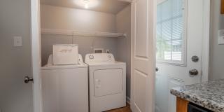 105 Williams Road - Room 2 Gallery 9