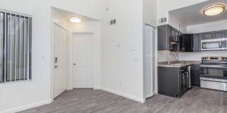 Metro Tucson Gallery 61