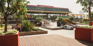 Blossom Plaza Gallery 14