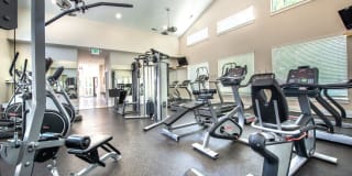 Olympus at The District Gallery 35