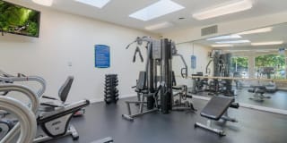 South Port Gallery 25