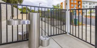 Solasta Solasta Gallery 24