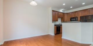 473 Panorama View Loop Gallery 6