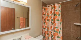 Renovated 1 & 2 Bedrooms Available! - Mounds View Renovated 1 & 2 Bedrooms Available! - Mounds View Gallery 41
