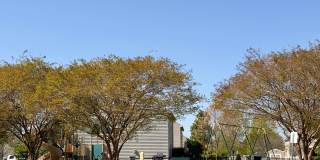 42 Kilverstone Way (Hampshire Glen) Hampton 23669 Gallery 59