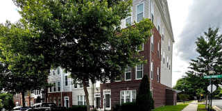 14888 Potomac Branch Drive - 317A Gallery 1