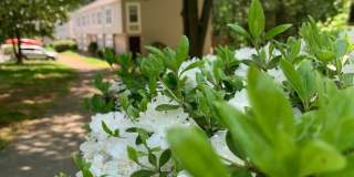 2768 Gatewood Circle Gallery 24