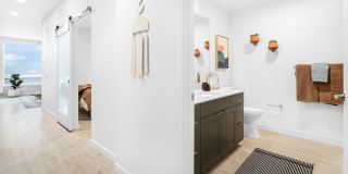 Swell Gallery 8