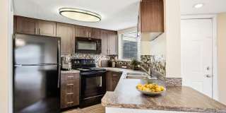 Regatta Shores Gallery 7