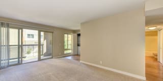 Madison Bellevue Gallery 38