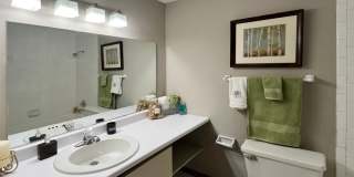 Lionshead Apartments Gallery 15